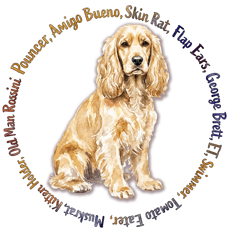 Cocker Spaniel. Pouncer the dog with fourteen names.