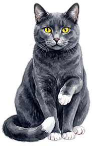 My First Childhood Pet