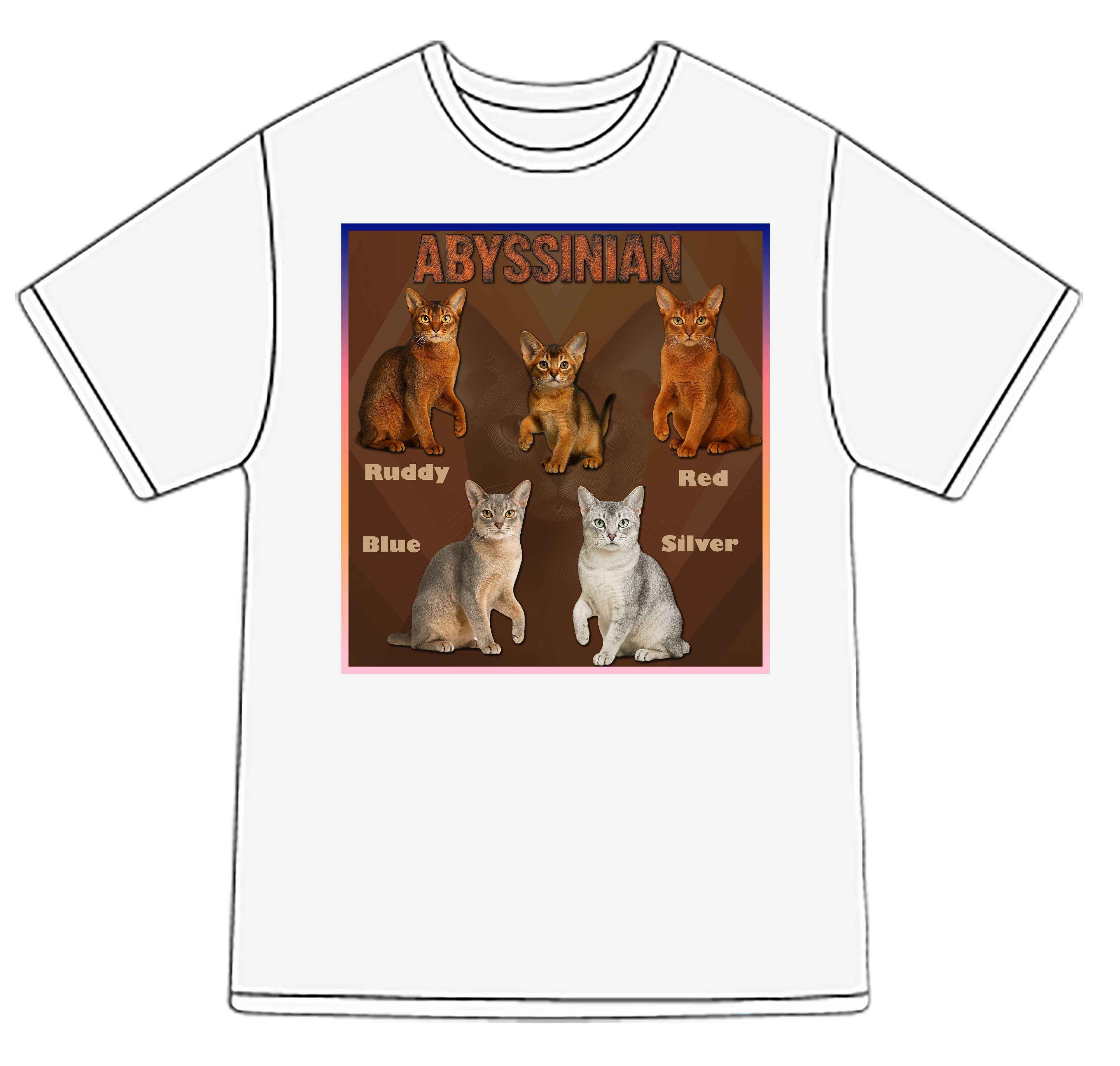 Abyssinian