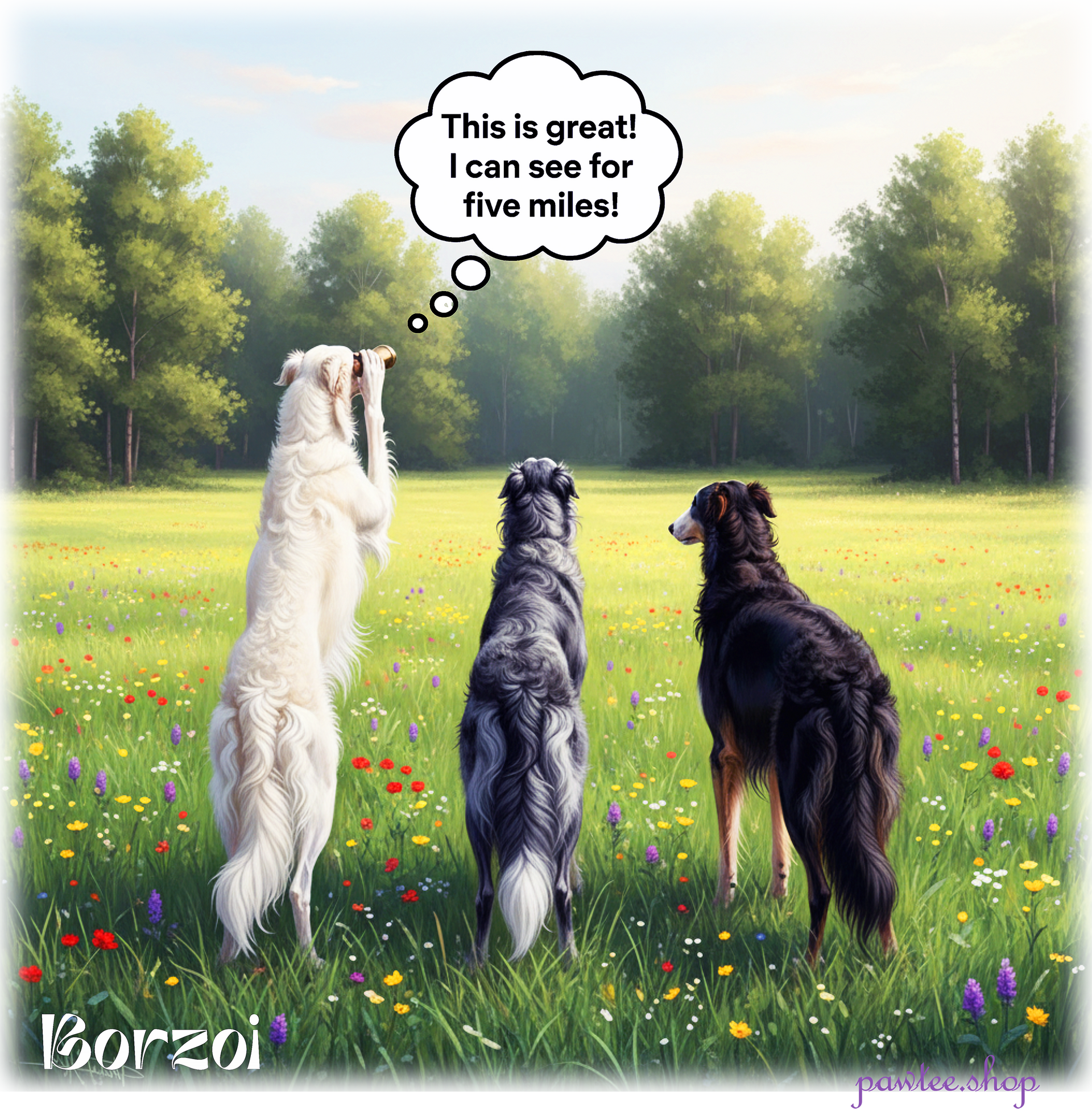 Borzoi
