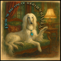 Afghan Hound