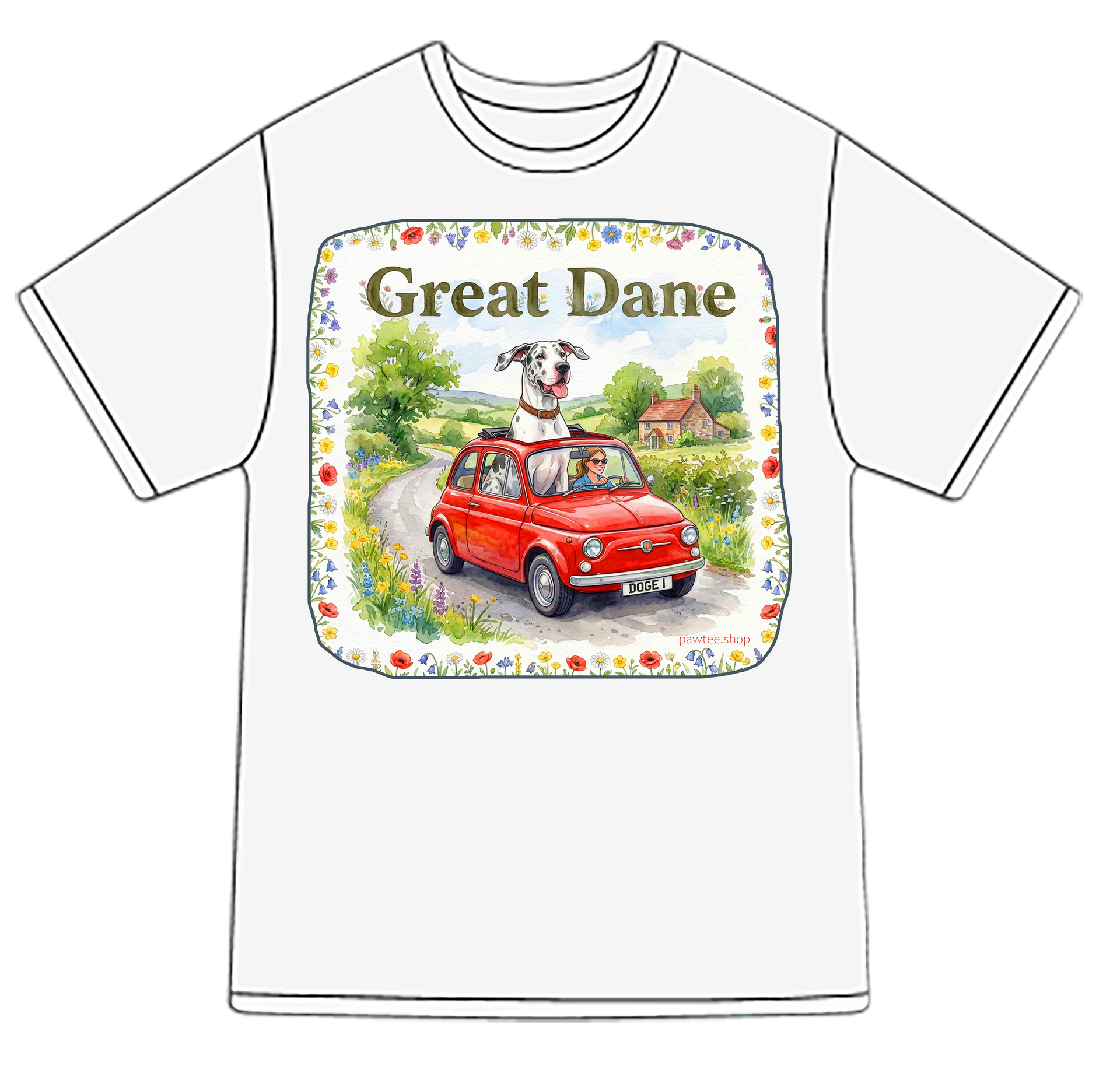Great Dane 2