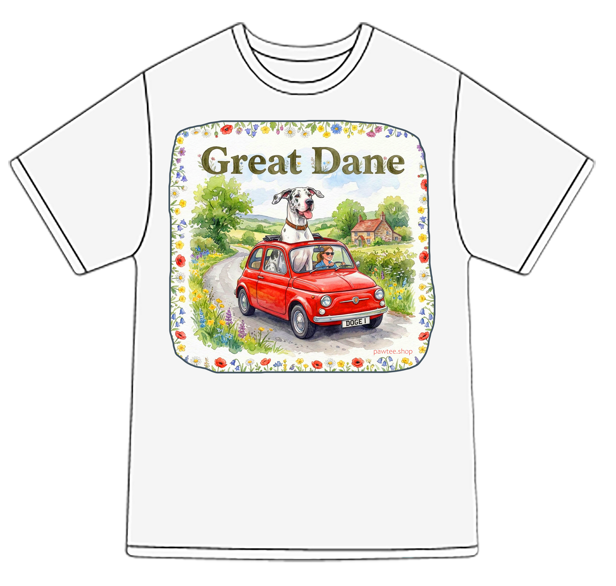 Great Dane 2