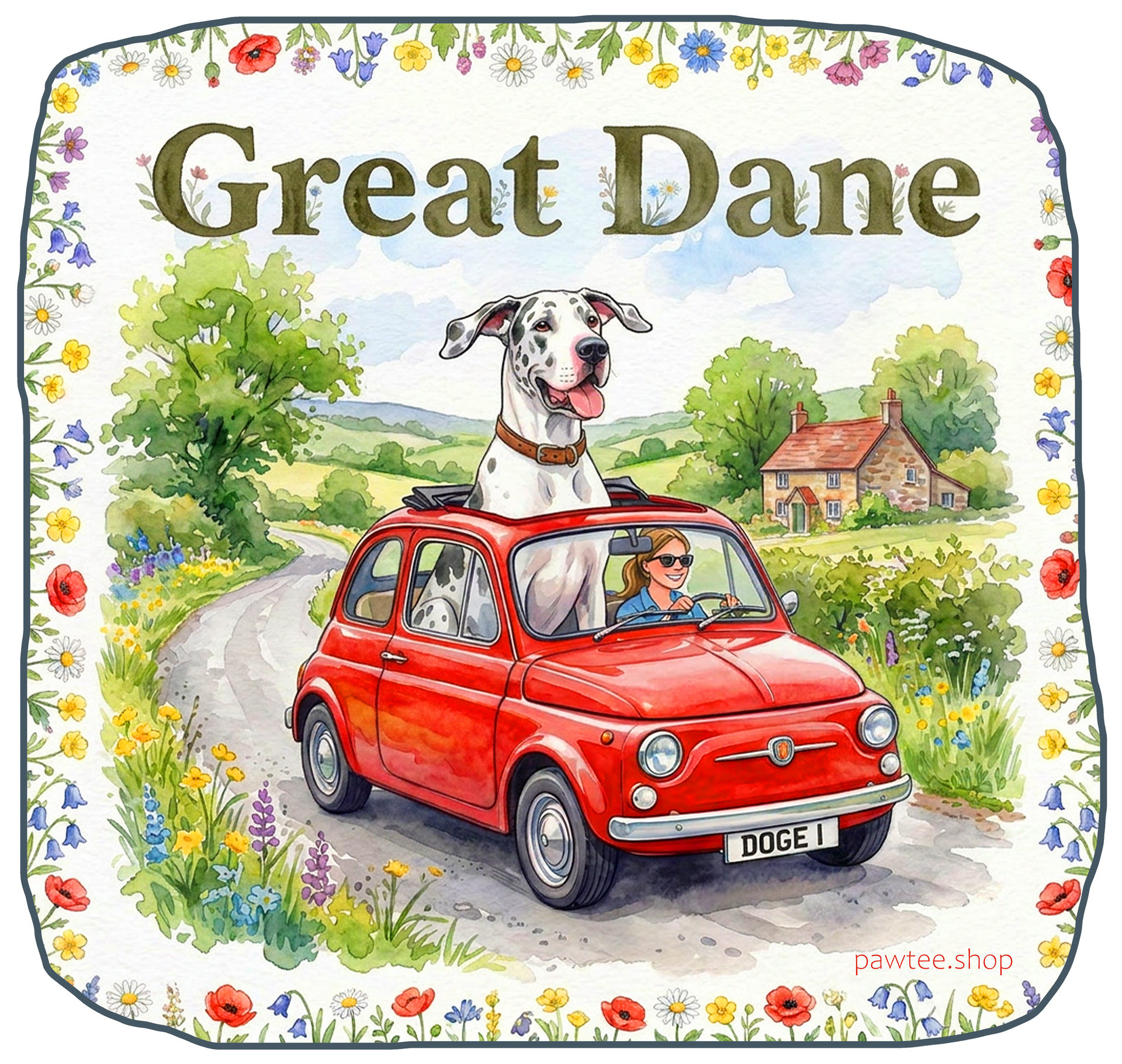 Great Dane 2