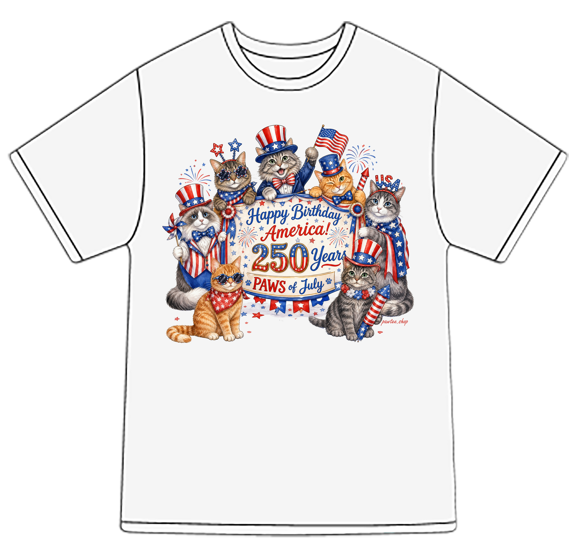 Happy Birthday America! (2)