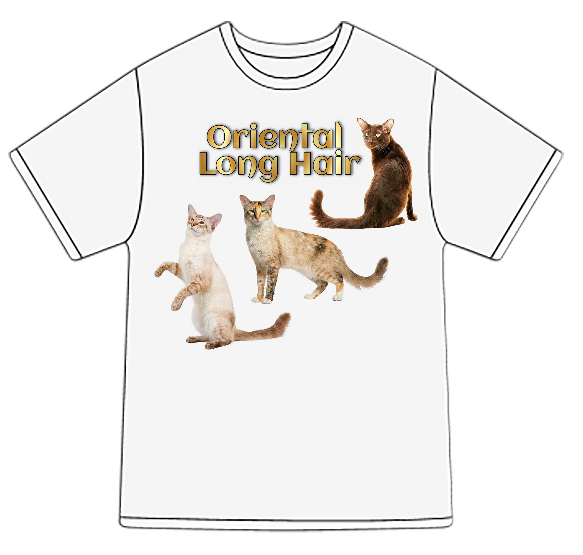 Oriental Longhair Breed