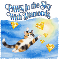 Paws In the Sky