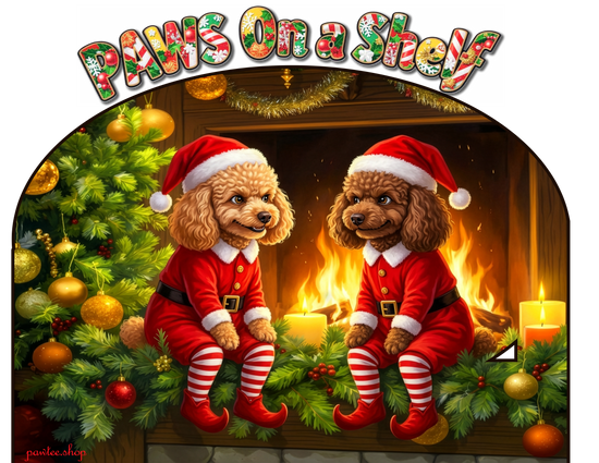PAWS On a Shelf
