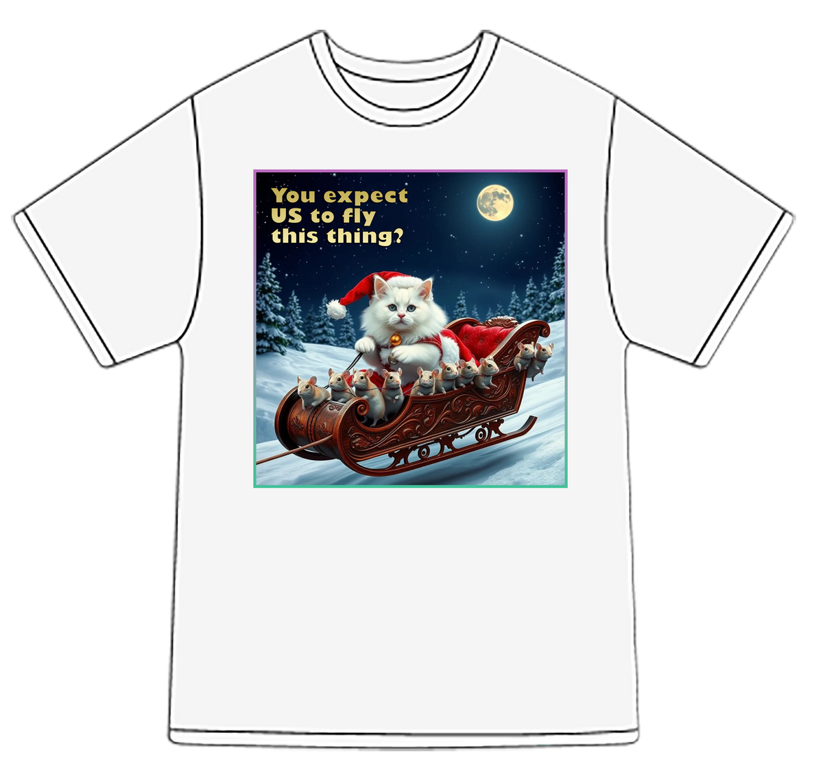 You Expect Us to Fly This Thing? Santa PAW